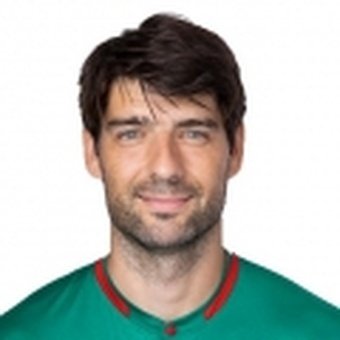 V. Ćorluka