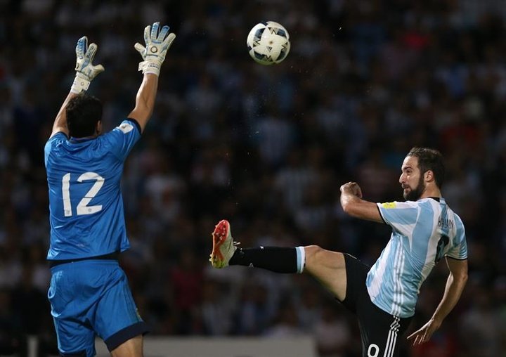 Higuain happy with Argentina career despite not winning trophy