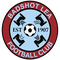 Badshot Lea FC