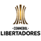 Copa Libertadores